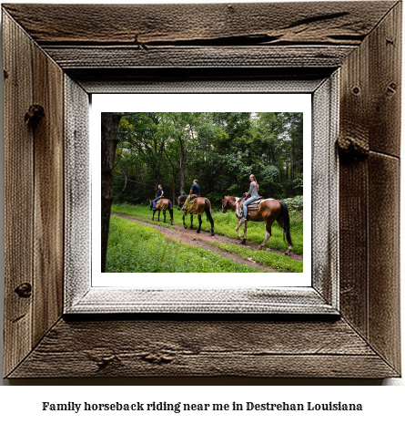 family horseback riding near me in Destrehan, Louisiana